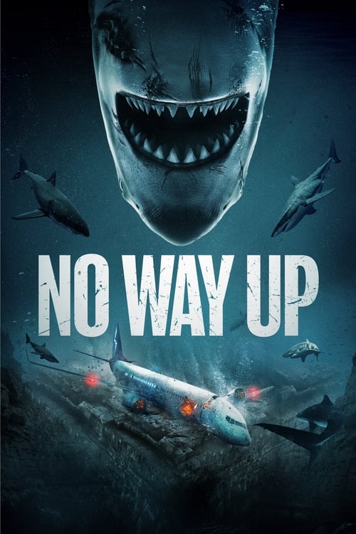 No Way Up (2024) งาบคลั่งไฟลต์ | ซับไทย มาสเตอร์ the best